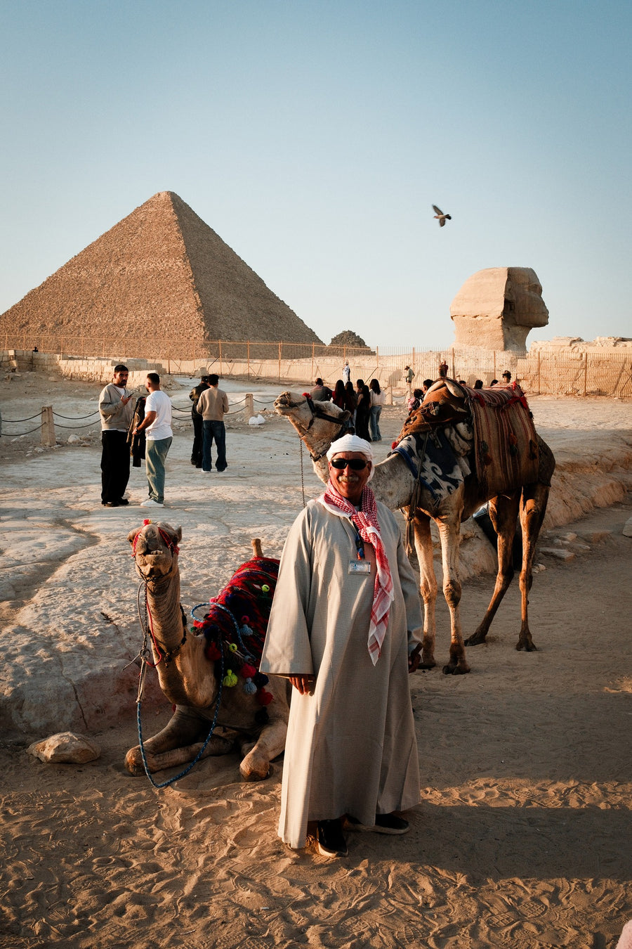 The Camel Keeper