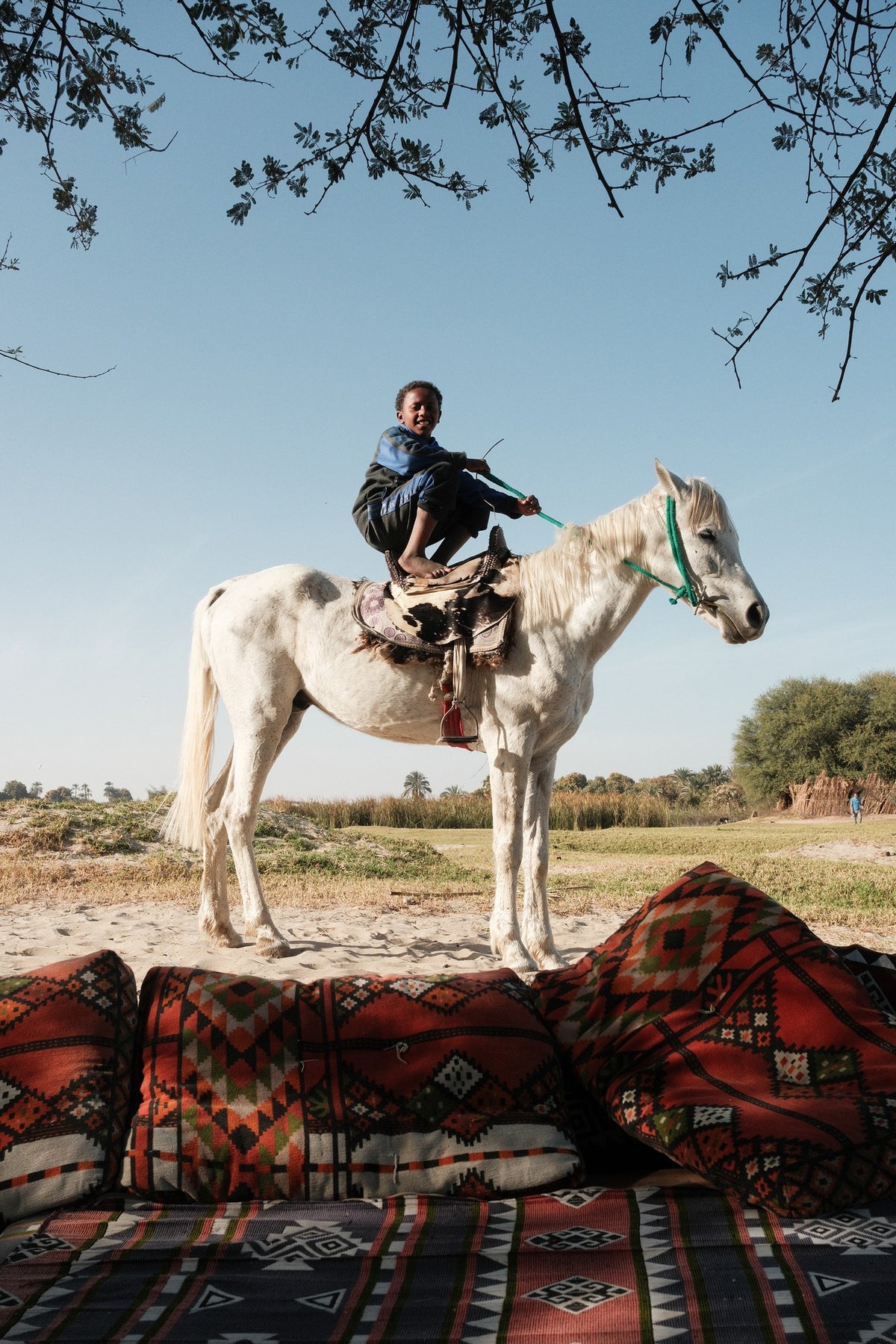 Hamza on the Horse