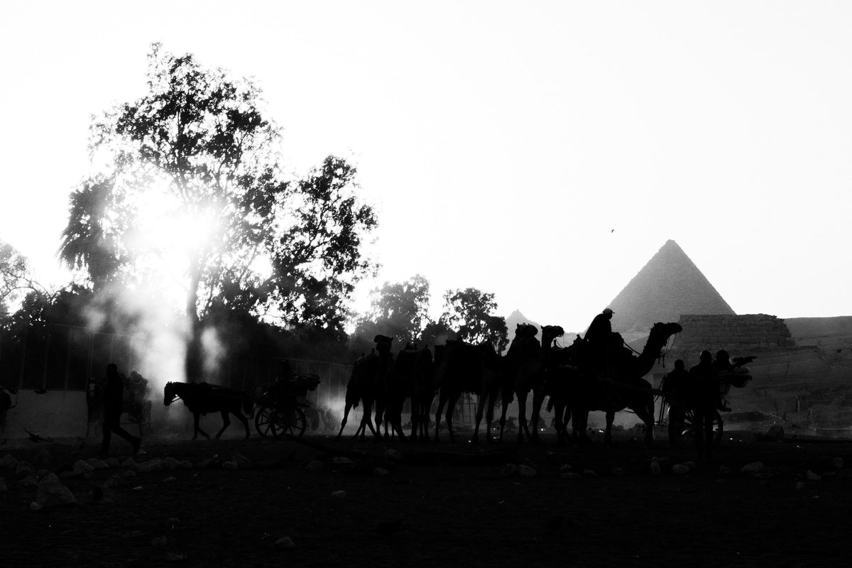 Silhouettes by the Giza Pyramids