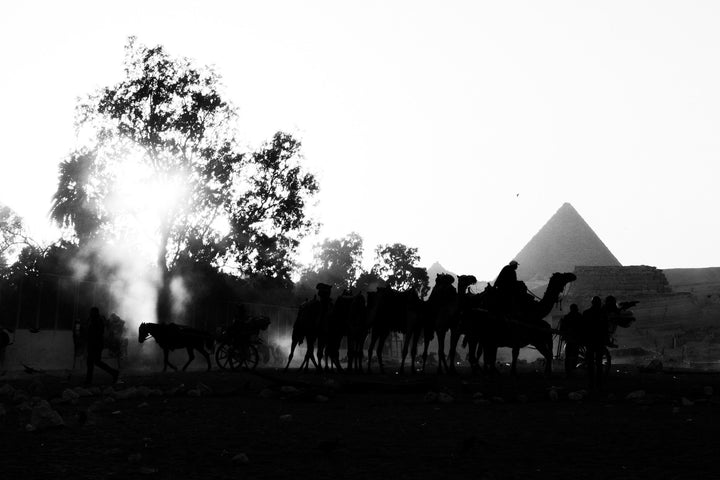 Silhouettes by the Giza Pyramids framed in black wood, 30×40 cm frame