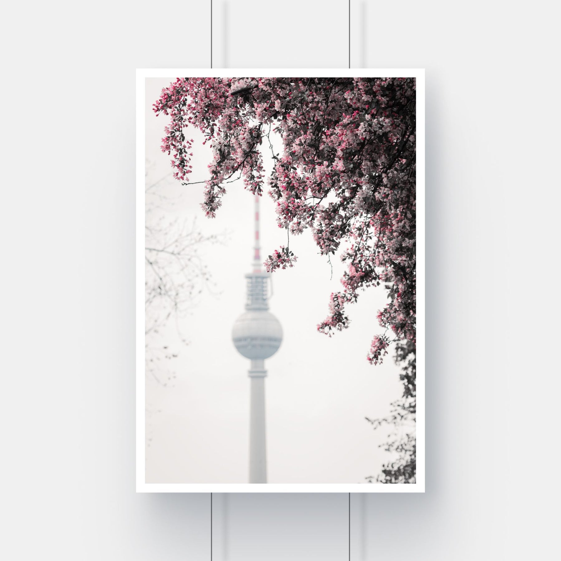 Limited edition fine art print of cherry blossoms framing the Berlin Fernsehturm television tower in Mitte.