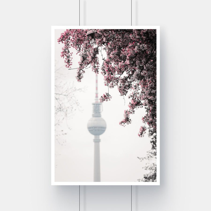 Limited edition fine art print of cherry blossoms framing the Berlin Fernsehturm television tower in Mitte.